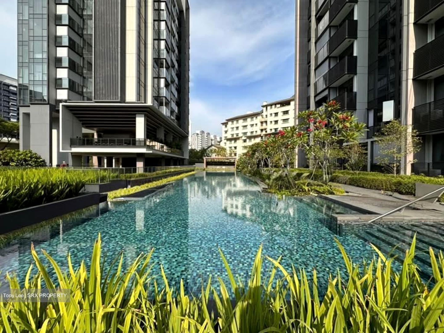 Leedon Green (D10), Condominium #555026981